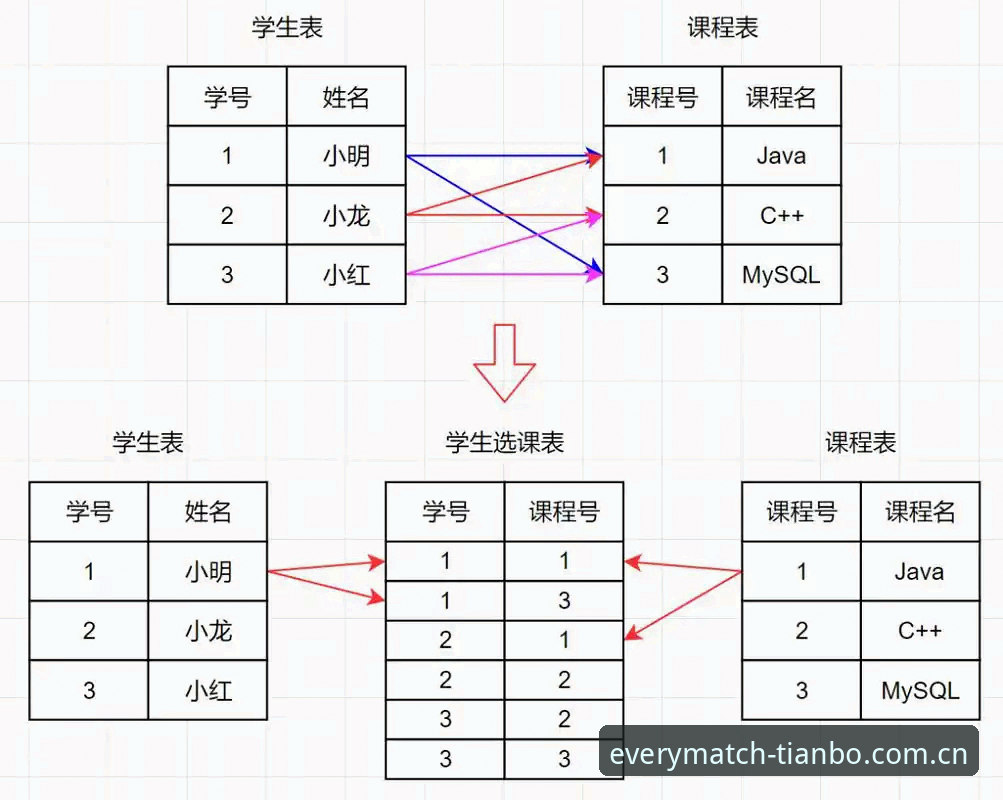 天博体育平台2025版本安全使用教程——从下载到实战的操作指南